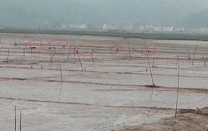 台州三门：讨要工程款的村民被刑拘 非法采砂的村主任“毫发无伤“
