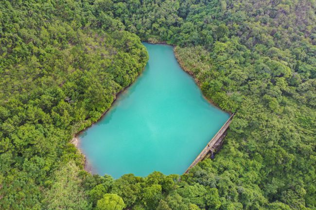 全国首家民营国家森林公园即将被“踢”出局，别寒了民营企业家的心！