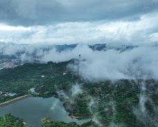 东莞市相关部门弄虚作假，违法违规发放相关证件给观音山公园内的豪华别墅，难道没有利益输送吗？